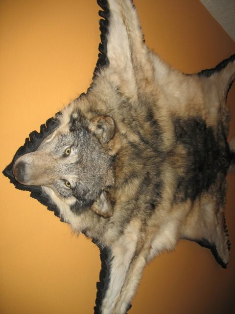 IMG_4508.jpg