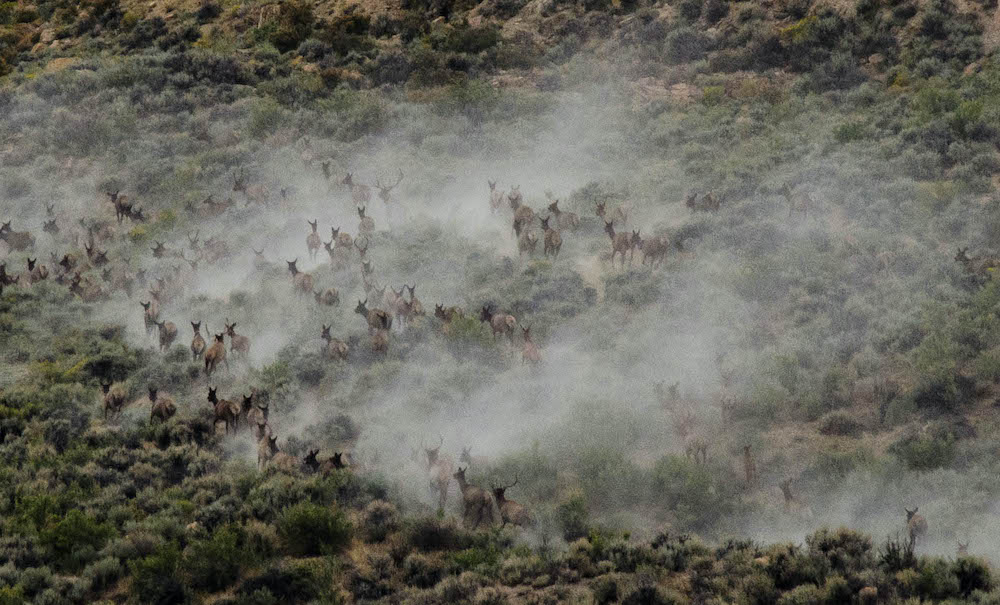 www.wyofile.com