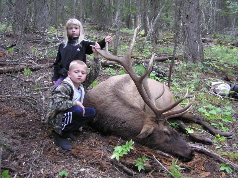 elk2011042.jpg