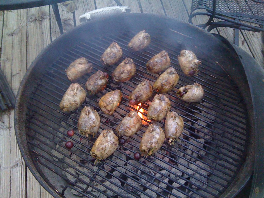 Doves%20on%20the%20grill.jpg