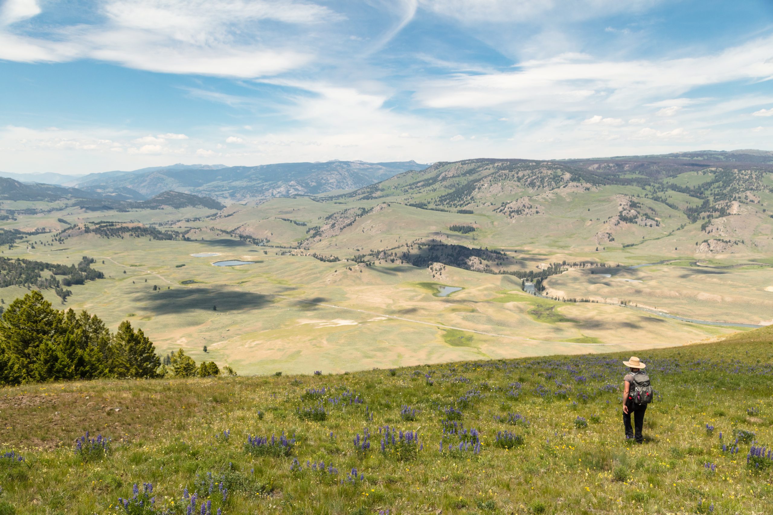 montanafreepress.org