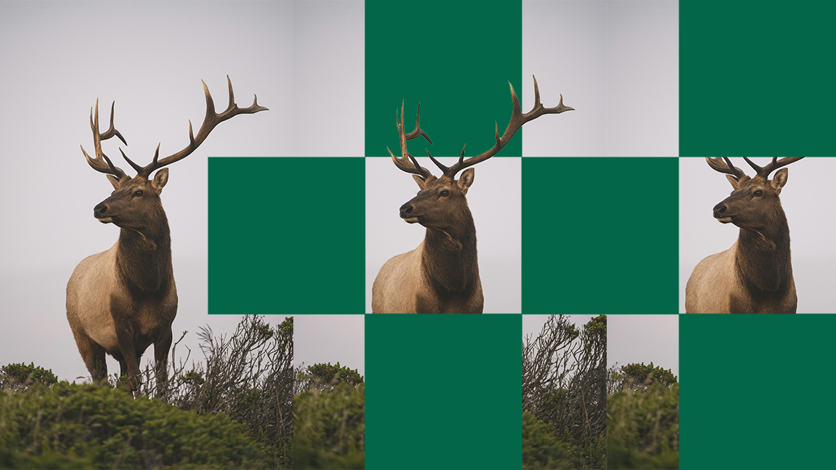 montanafreepress.org