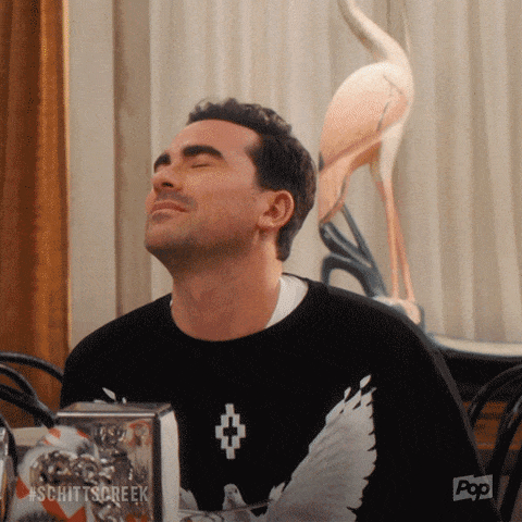 giphy-downsized-large.gif