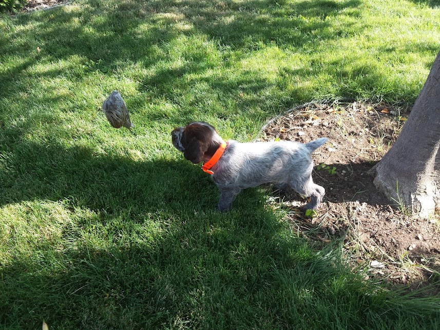 H2TbSJ9x393zU9SY_55HBPdA8CTCExfBrQn9Aj0dl80=w858-h643-no