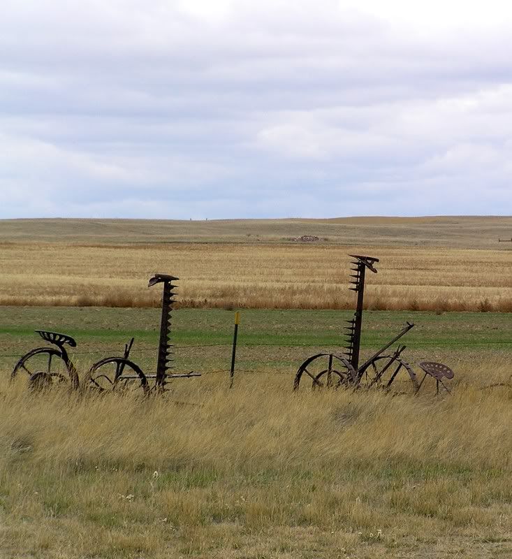 PA101763.jpg