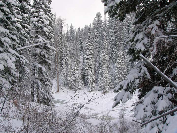 Snowy-hunt-scene.jpg
