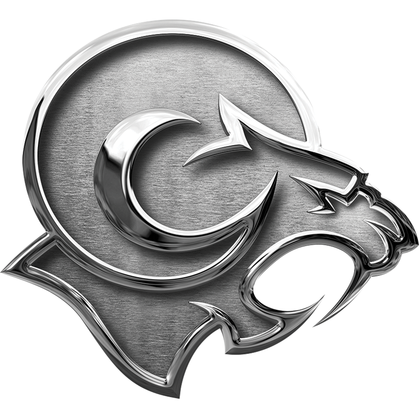 ramcatbroadheads.com