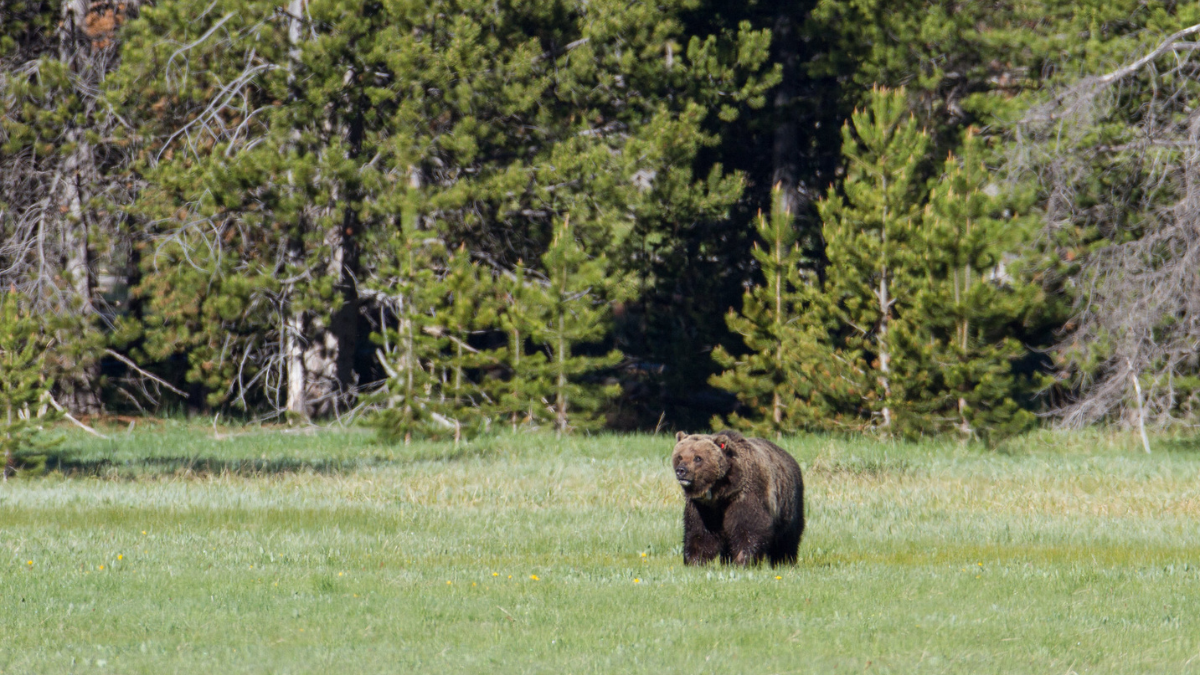 montanafreepress.org