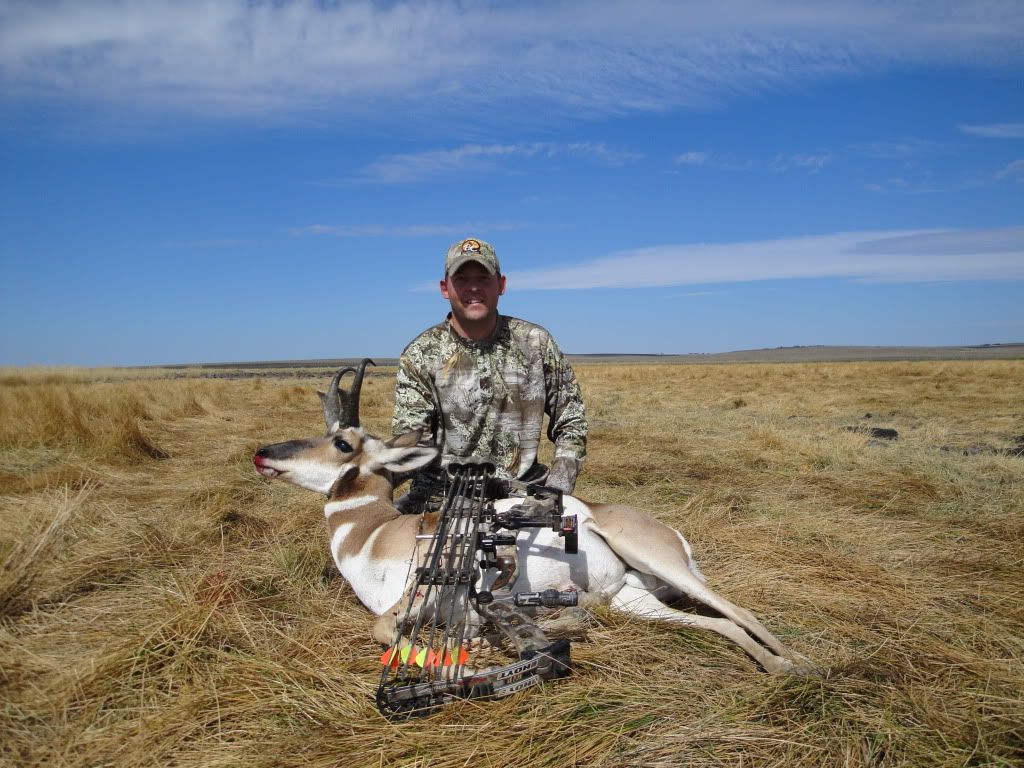 IdahoAntelope09004.jpg