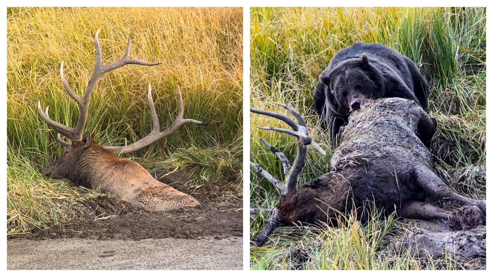 cowboystatedaily.com