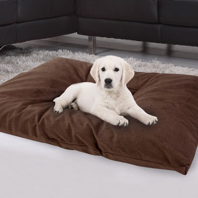 www.gundogsupply.com