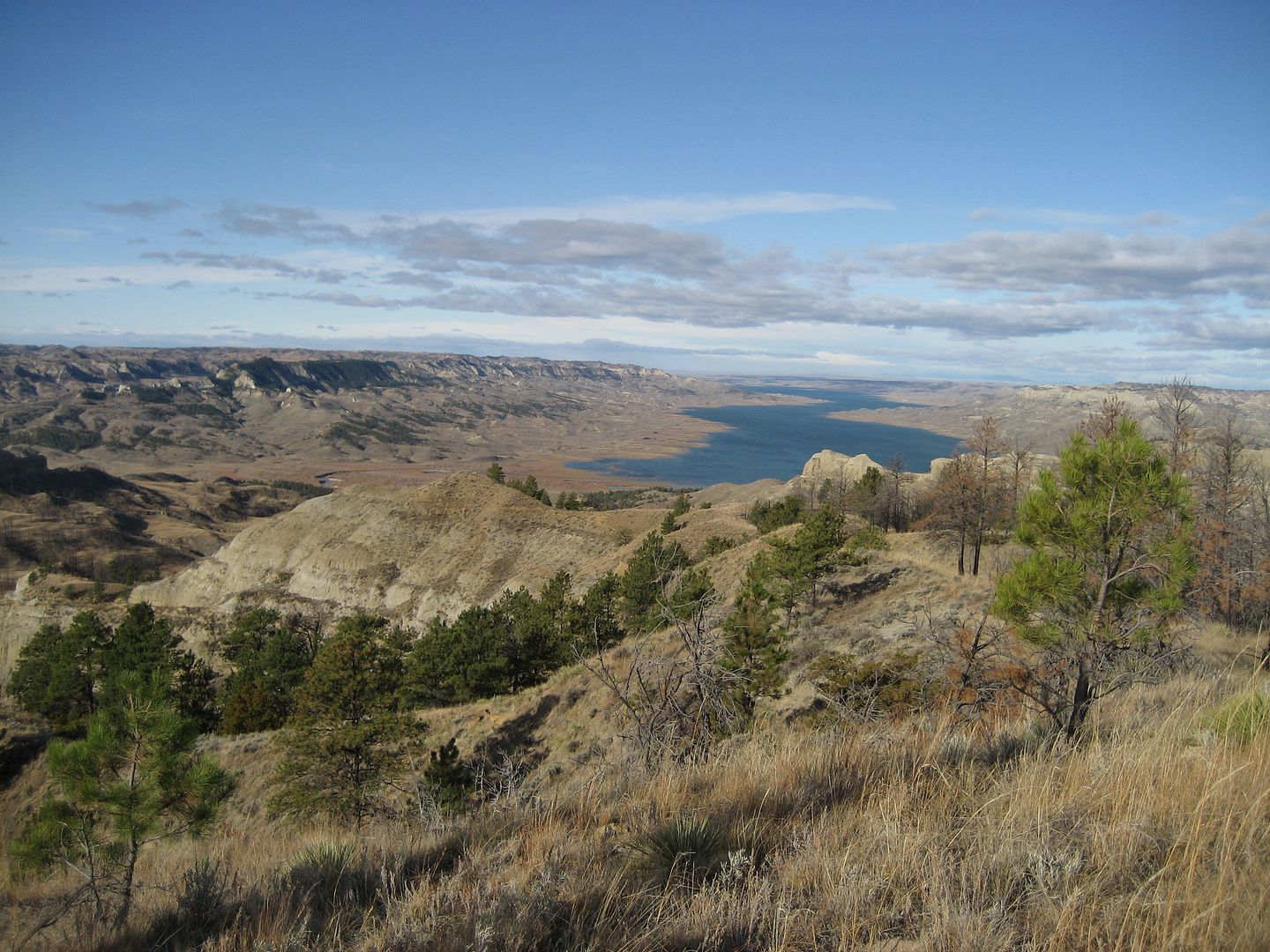 elkhunt09009.jpg