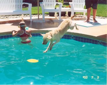 roxydives.jpg