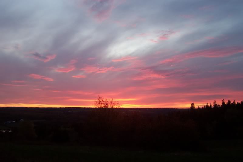 100_5179.jpg