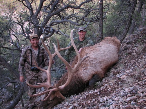 AZ_Elk%20062.jpg