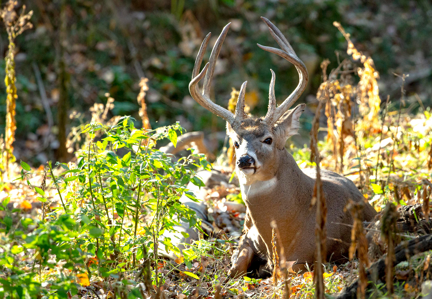 outdoornebraska.gov