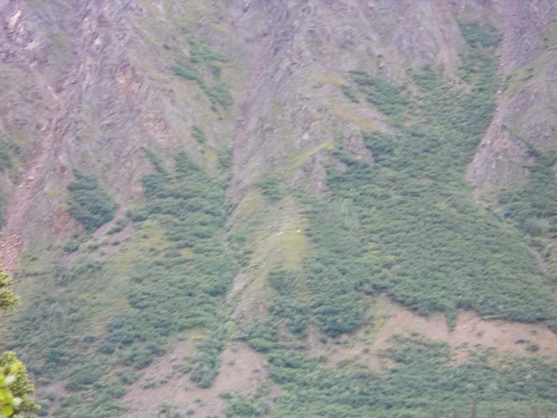 DSCN0328.jpg
