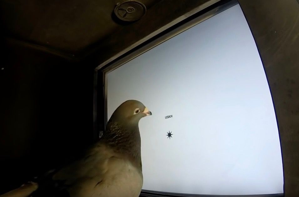 www.livescience.com
