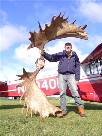 Big_Moose.jpg