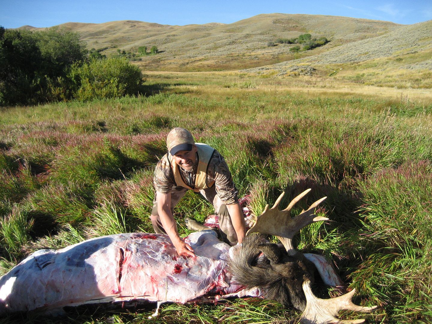 moosehunt9-15-10036.jpg