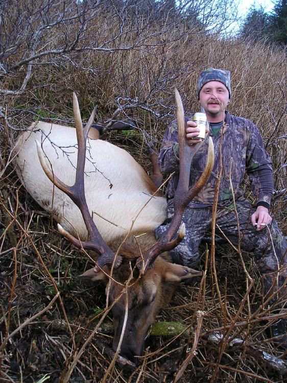 07Elkhunt06.jpg