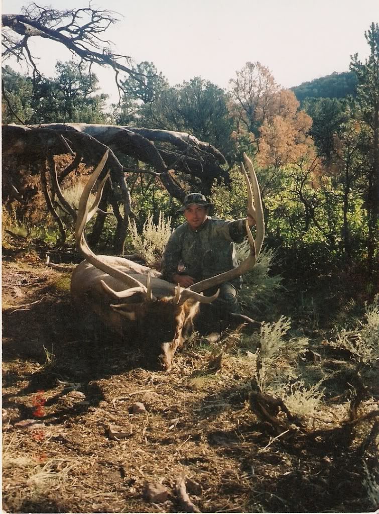 scan0004.jpg