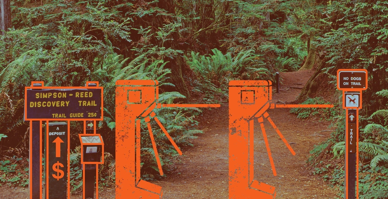 www.outsideonline.com