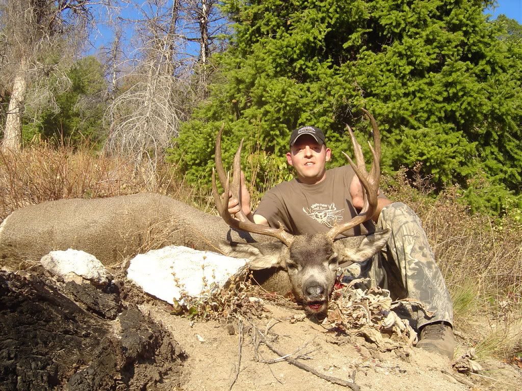 IdahoGeneralDeer2008003.jpg