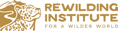rewilding.org