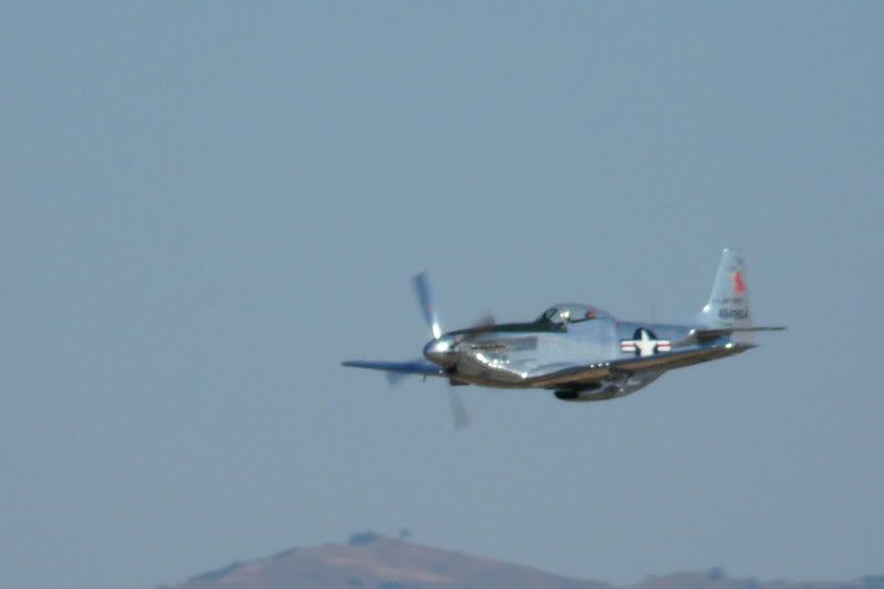 P1000992-1.jpg