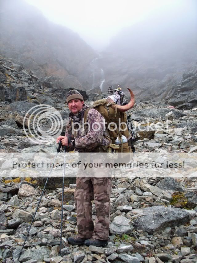 JOESHEEP08PACK.jpg