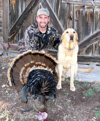 SDturkeyAxl.jpg