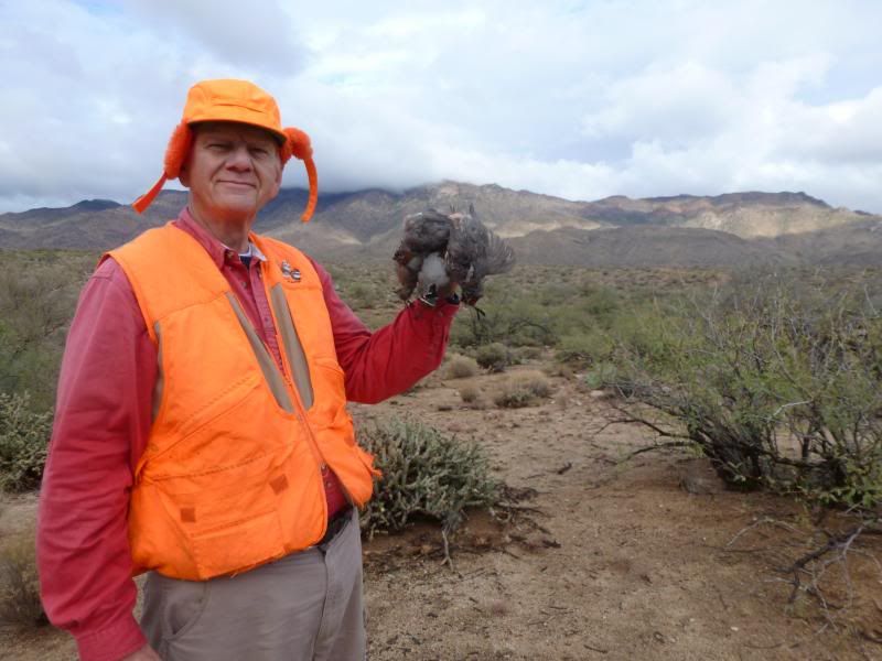 az11-12008.jpg