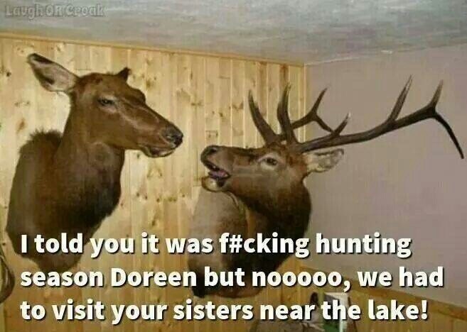 317465909-funny-deers-hunting-season.jpg