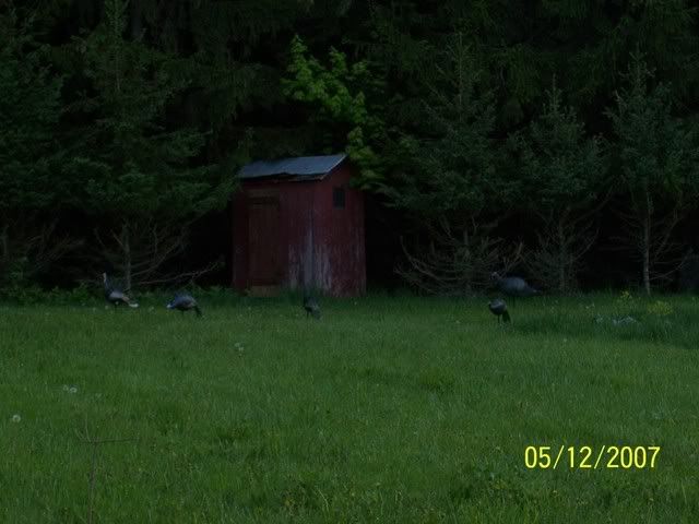 100_1162.jpg
