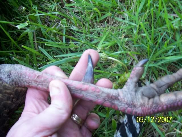 100_1158.jpg