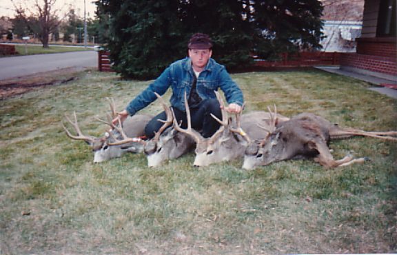 4muledeer.JPG