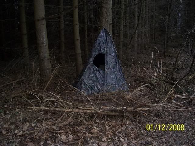 100_1529.jpg
