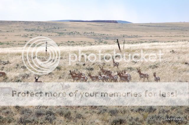 DSC_0160.jpg