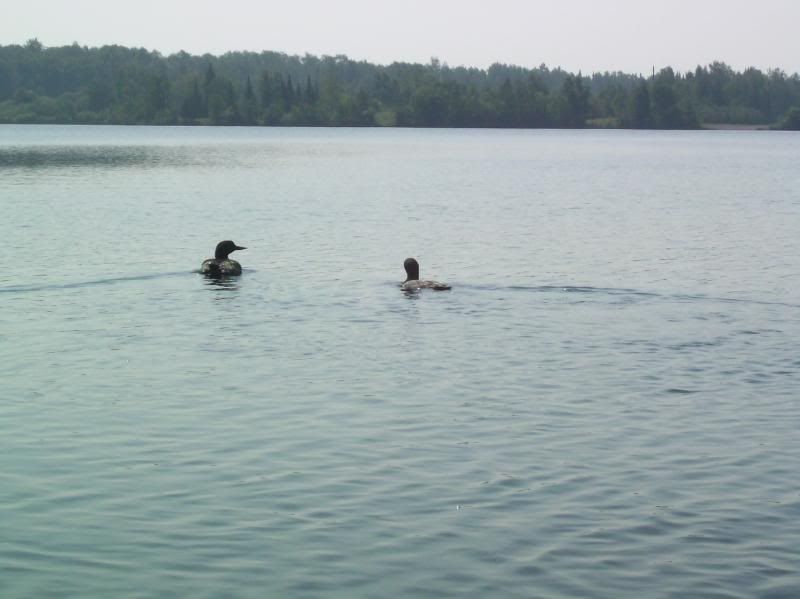 Picture165.jpg