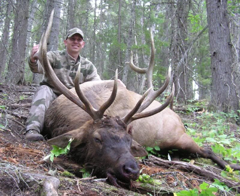 elk2011010.jpg