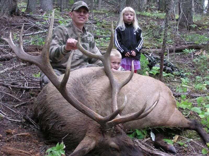 elk2011014.jpg