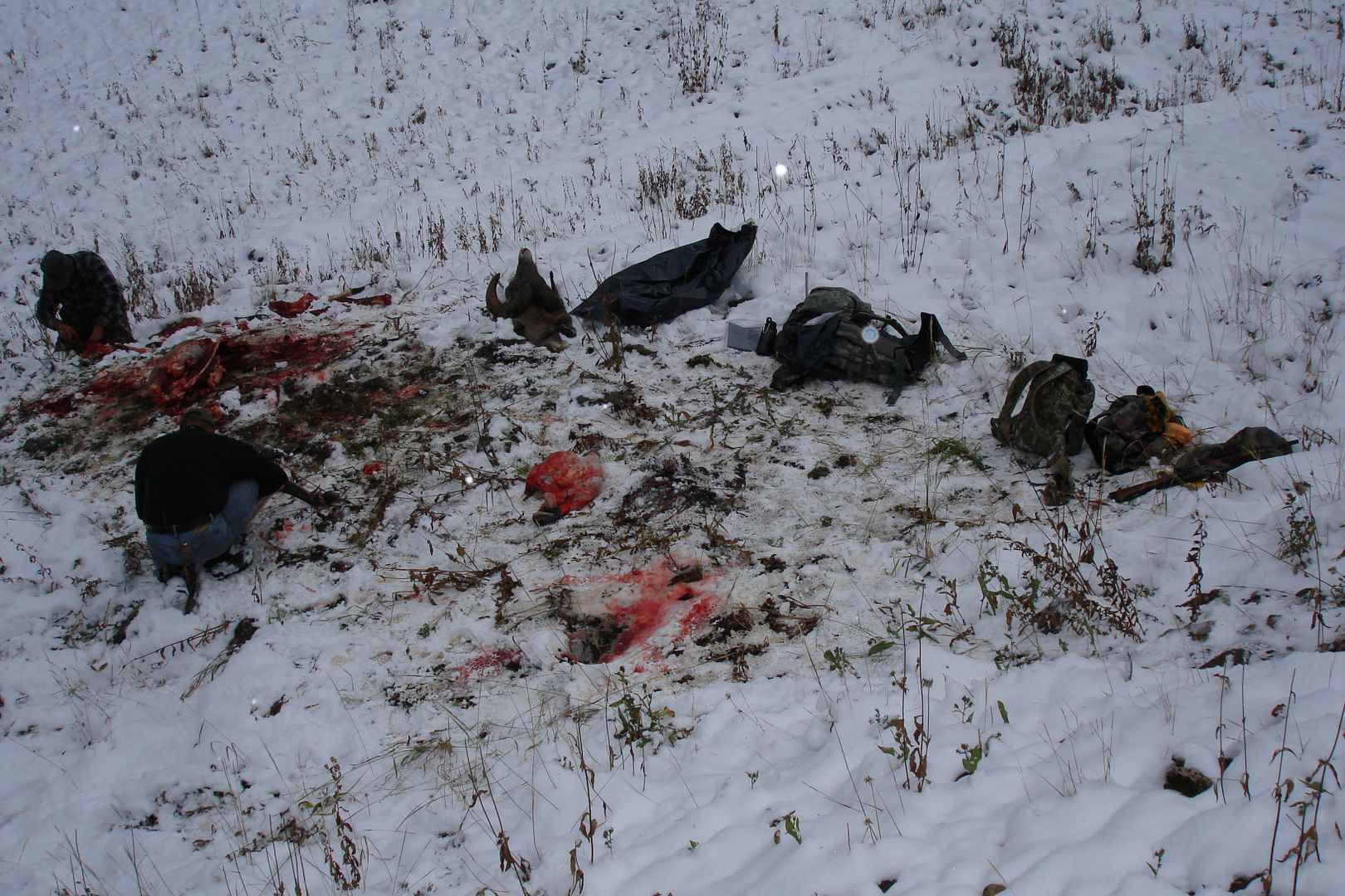 SheepHunt2006143.jpg