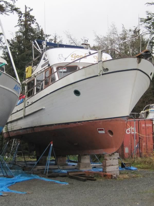 boat.jpg