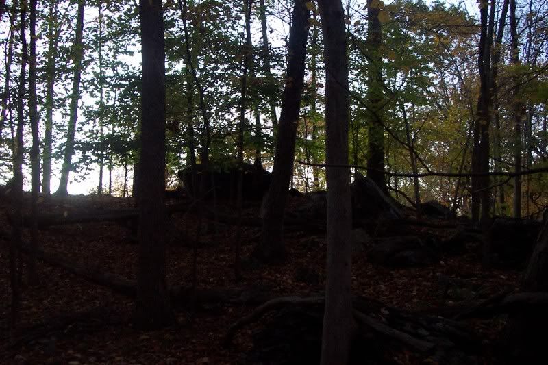 100_5233.jpg