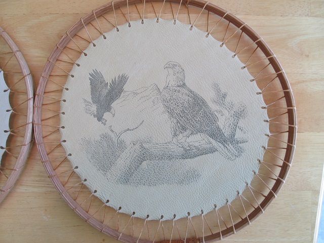 eagleshoop_zpshx68vcgc.jpg