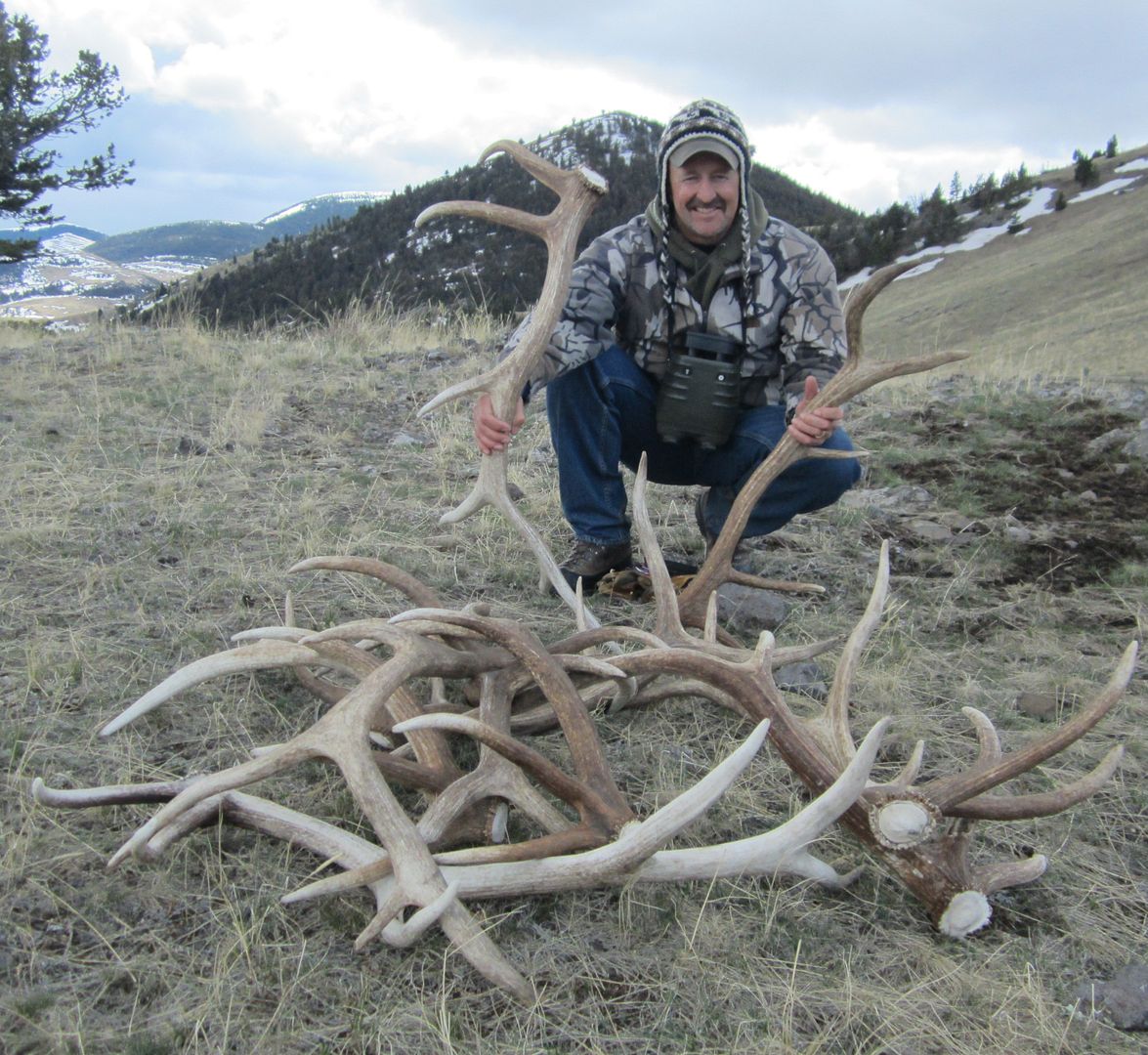 antlers2012007-1.jpg