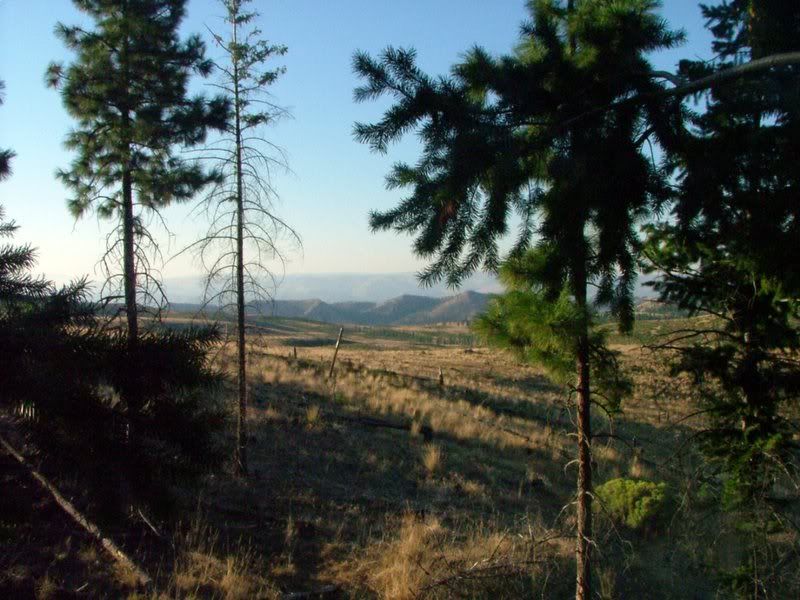 2006_0901Image0007.jpg