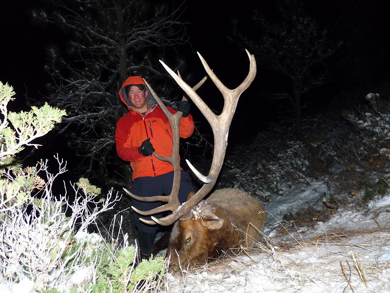 Elk.JPG