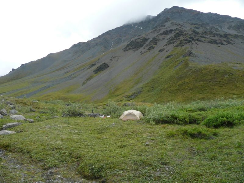 P1050098.jpg